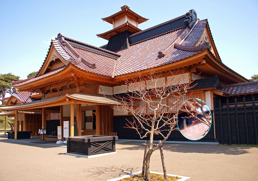 https://www.hakodate-bugyosho.jp/news-asset/images/110410_1.jpg